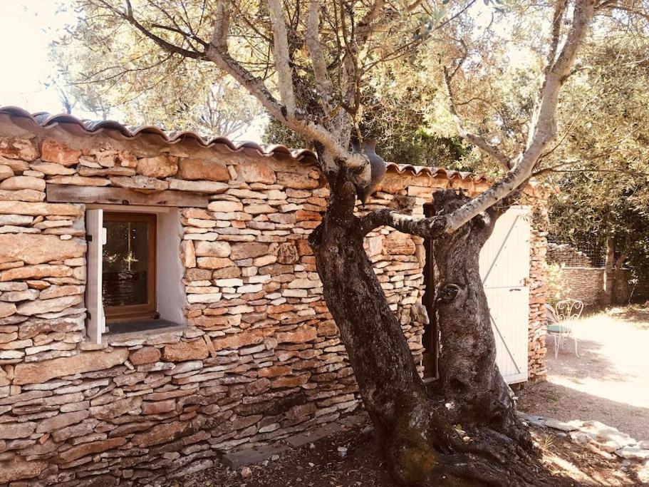 Villa Petite Bergerie à Bonifacio  Extérieur photo